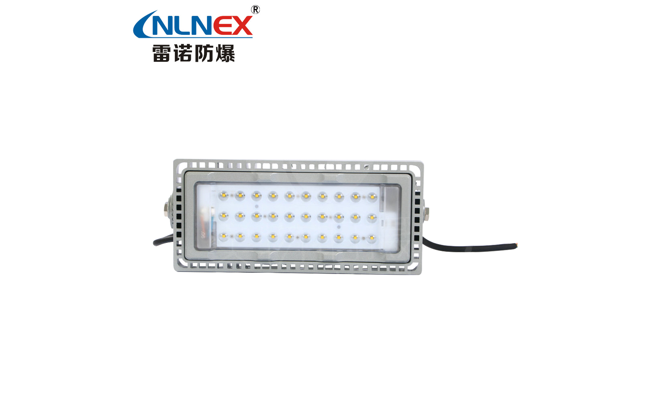 NTC9280-110W LED三防投光灯